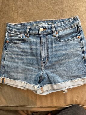 American Eagle Outfitters Light Blue Denim Shorts